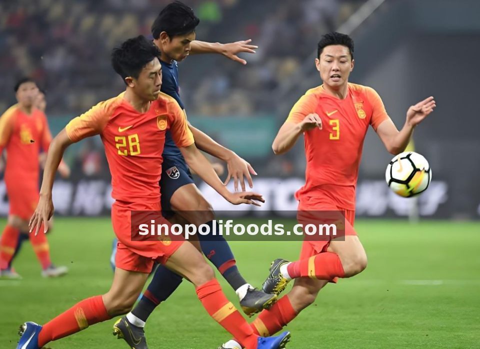 篮球犯规类型全图解：从普通犯规到技术犯规的判罚边界